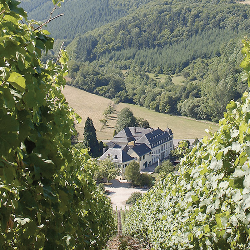 WEINGUT VON HÖVEL - foto 2