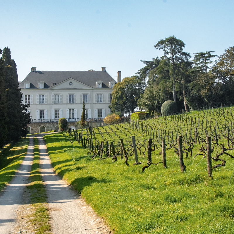 WEINGUT VON HÖVEL - foto 3
