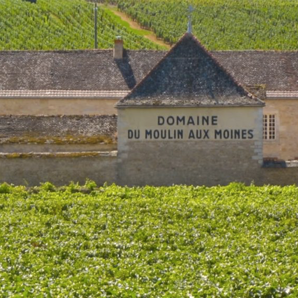 CLOS DU MOULIN AUX MOINES - foto 2