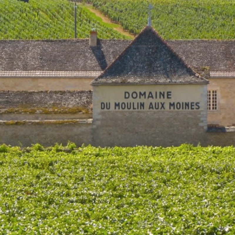 CLOS DU MOULIN AUX MOINES - foto 2