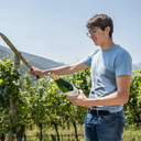 Levii Trento Doc Extra Brut Millesimato 2021