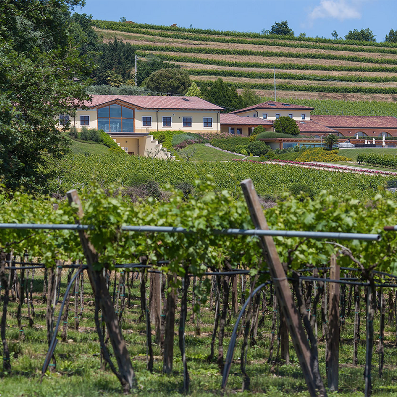 MONTEZOVO  - foto 2